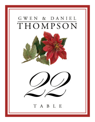 Poinsettia