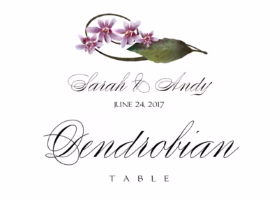 Purple Calypso Orchid Table Names