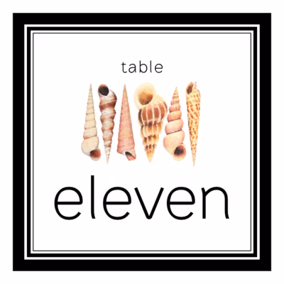 Seashell Pattern 09 Table Numbers
