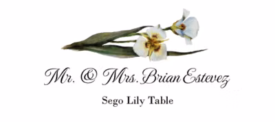 Sego Lily Place Cards