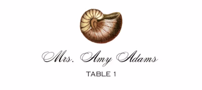 Antique Seashell Collector Place Cards