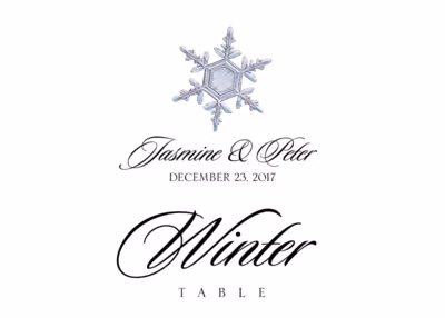 Snowflake Assortment Table Names