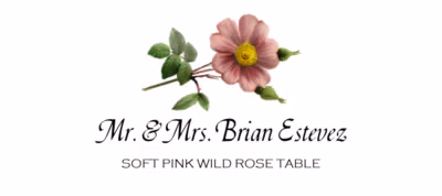 Soft Pink Wild Rose Place Cards