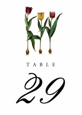 Tulip Bulbs Table Numbers