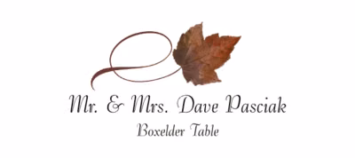 Boxelder Twisty Leaf Place Cards