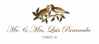 Brown Birds Place Cards