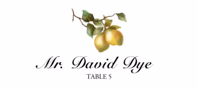 Two Lemons Place Cards