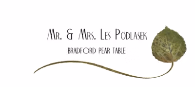 Bradford Pear Wispy Leaf Place Cards