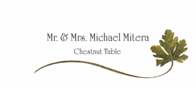 Chestnut Wispy Leaf Place Cards