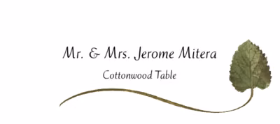 Cottonwood Wispy Leaf Place Cards
