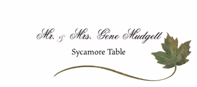Sycamore Wispy Leaf Place Cards