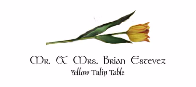 Yellow Tulip Place Cards