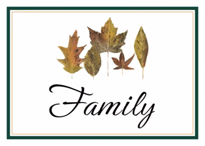 Five Leaves Table Names