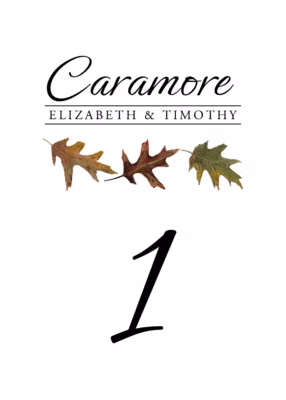 Leaf Pattern Assortment Table Numbers