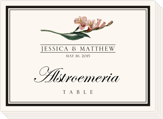 Assorted Flowers and Monogram