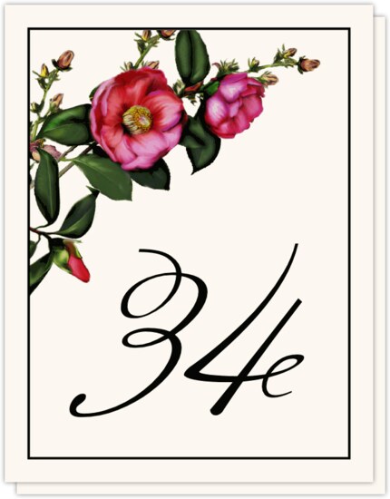 Camellia