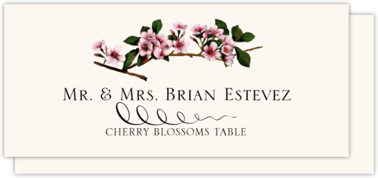 Cherry Blossoms