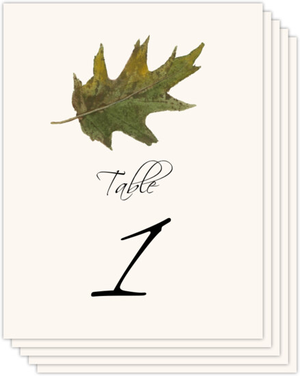 Colorful Leaves Assortment 02 Autumn and Fall Leaves Table Numbers