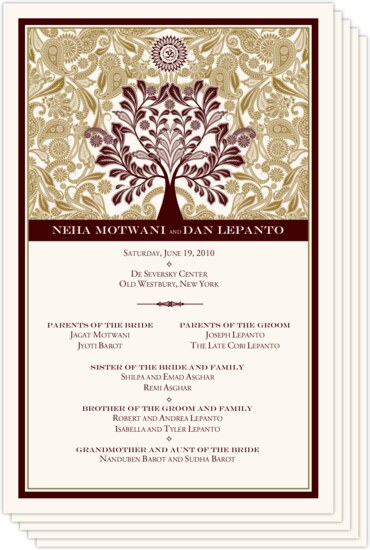 Indian Hindi Wedding Programs And Welcome Letters Documents And