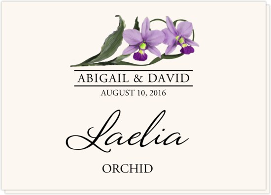 Orchid Assortment