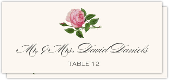 Pink Tea Rose
