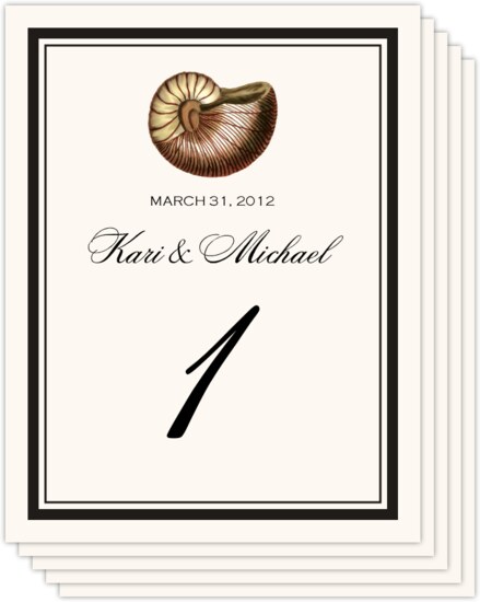 Ocean Beach And Seashell Wedding Table Number Cards And Table Card