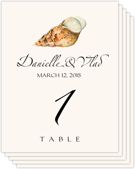 Seashell Assortment 02 Beach and Seashell Table Numbers