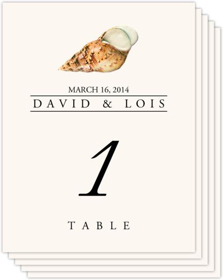 Seashell Assortment Beach and Seashell Table Numbers