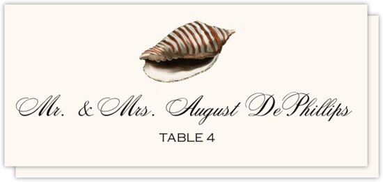 Antique Seashell Collector Beach, Seashell, and Fish Place Cards