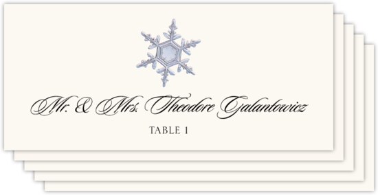Snowflake Assortment Winter, Snowflake, and Holiday Place Cards