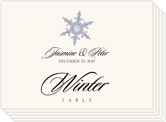 Snowflake Assortment Winter, Snowflake, and Holiday Table Names