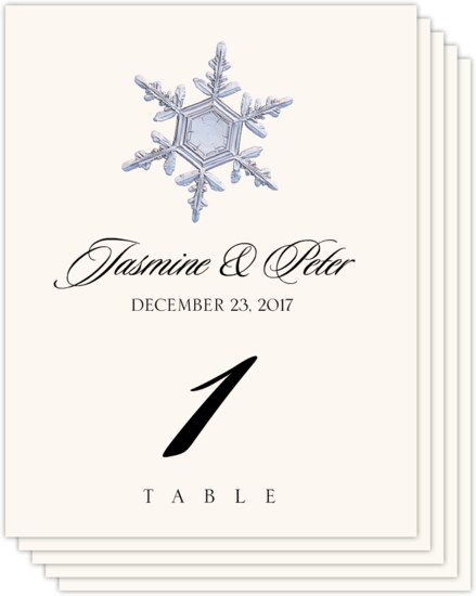 Snowflake Assortment Winter, Snowflake, and Holiday Table Numbers
