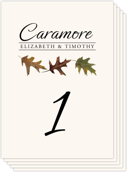 Leaf Pattern Assortment Leaves, Flowers, Vineyard & Grapes Table Numbers