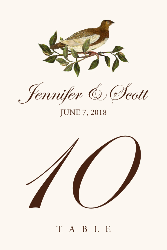 Brown Birds Birds and Butterflies Table Numbers