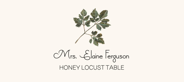 Honey Locust Colorful Leaf Autumn/Fall Leaves Place Cards