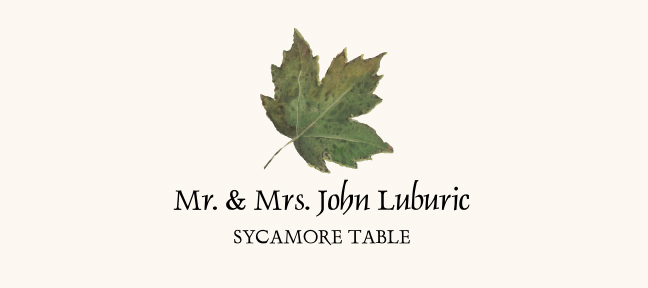 Sycamore Colorful Leaf Autumn/Fall Leaves Place Cards