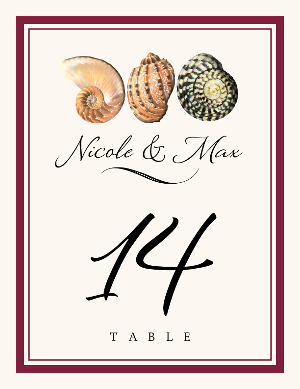 Conch Pattern Beach and Seashell Table Numbers