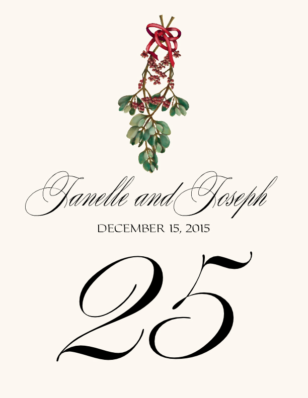 Mistletoe Bow Winter, Snowflake, and Holiday Table Numbers