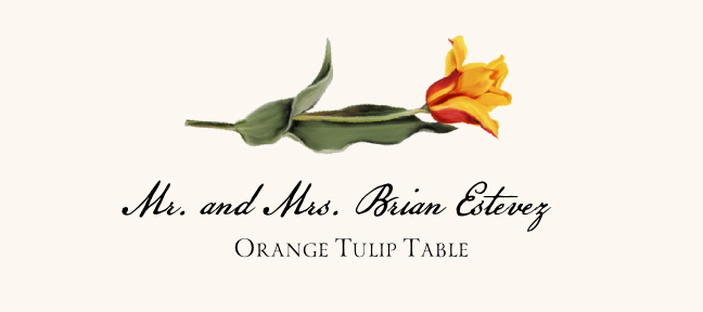 Orange Tulip