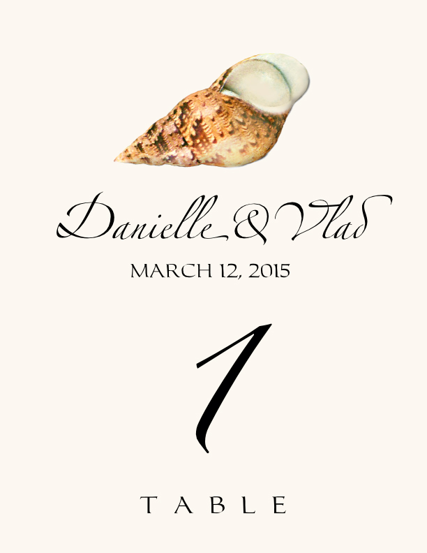 Seashell Assortment 02 Beach and Seashell Table Numbers