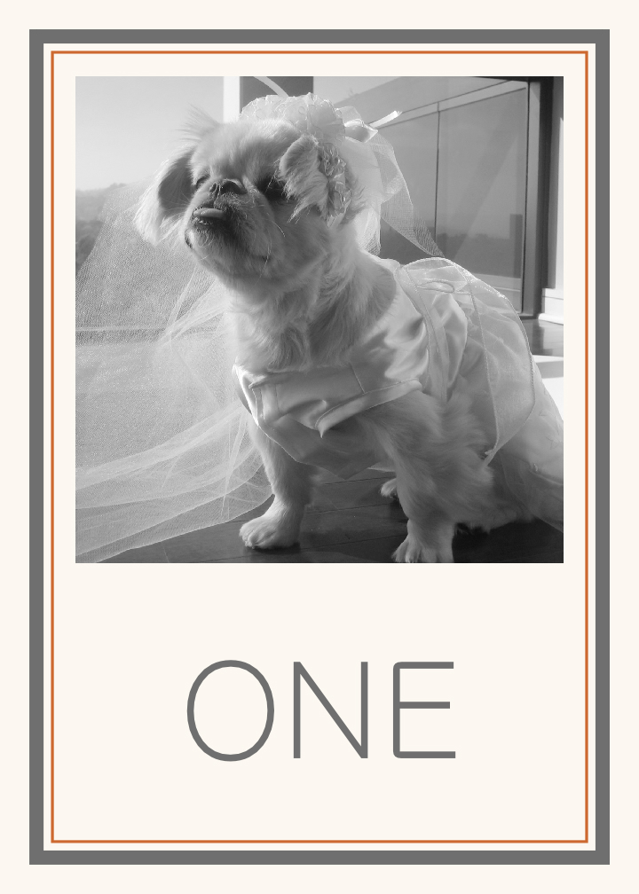 Simple Affair Photography Photo Wedding Table Numbers