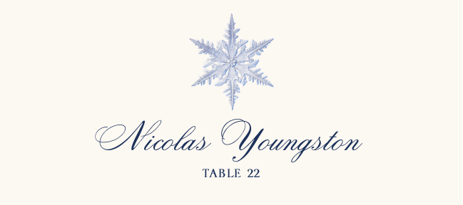 Snowflake 06 Winter, Snowflake, and Holiday Place Cards