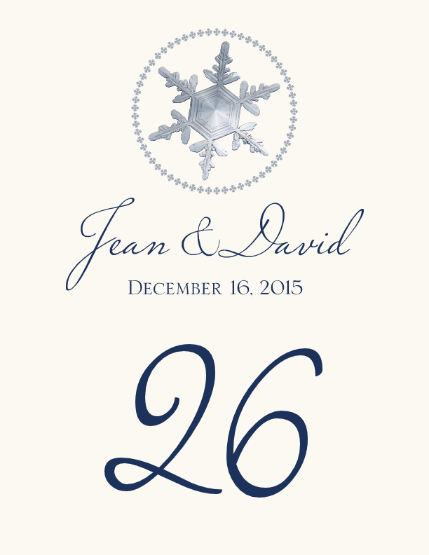 Snowflake Pattern 08 Winter, Snowflake, and Holiday Table Numbers