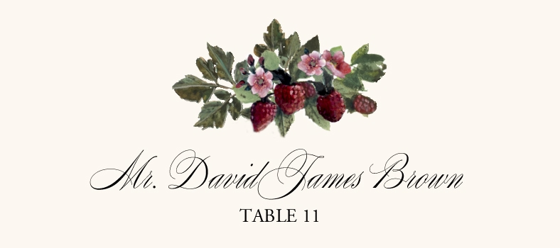 Strawberry Patch Fruit, Grapes and Vineyard Place Cards