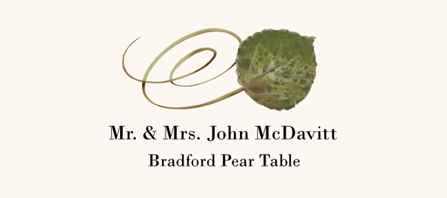 Bradford Pear Swirly Leaf Autumn/Fall Leaves Place Cards