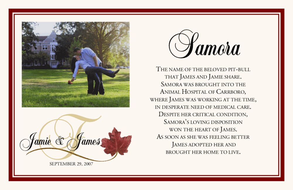 Fall in Love Photo Memorabilia Cards