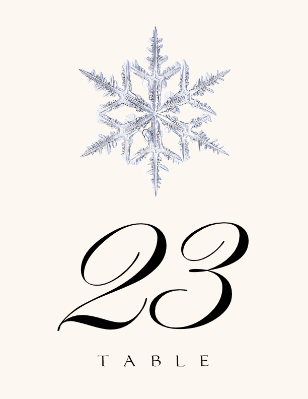Snowflake 03 Winter, Snowflake, and Holiday Table Numbers