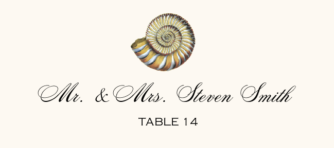 Antique Seashell Collector  Place Cards