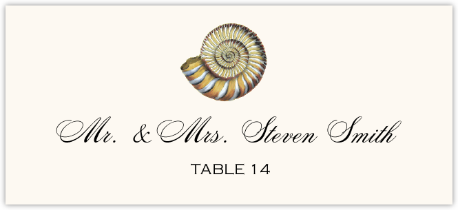 Antique Seashell Collector  Place Cards