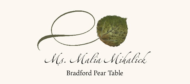 Assorted Twisty Leaves  Place Cards